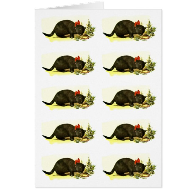 Carte Lucky black chats (Devant)