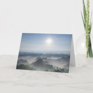 Carte Lumière du soleil dans les bambous Taiwan