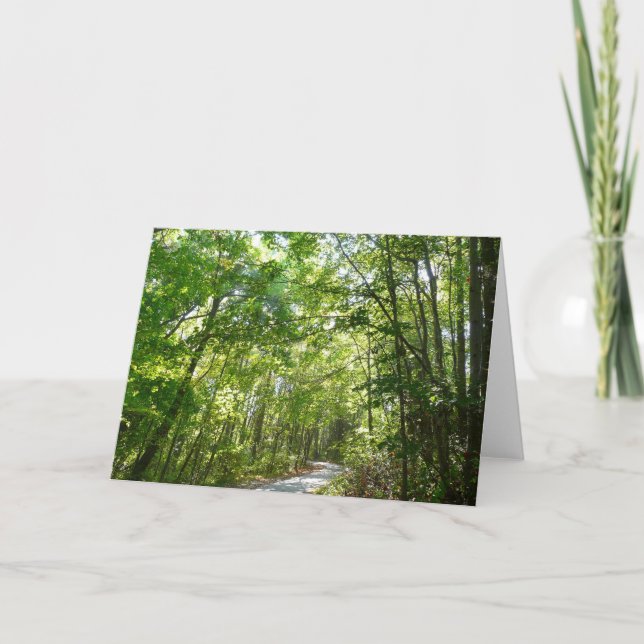 Carte Lumière du soleil sur le chemin en bois au Centenn (Devant)