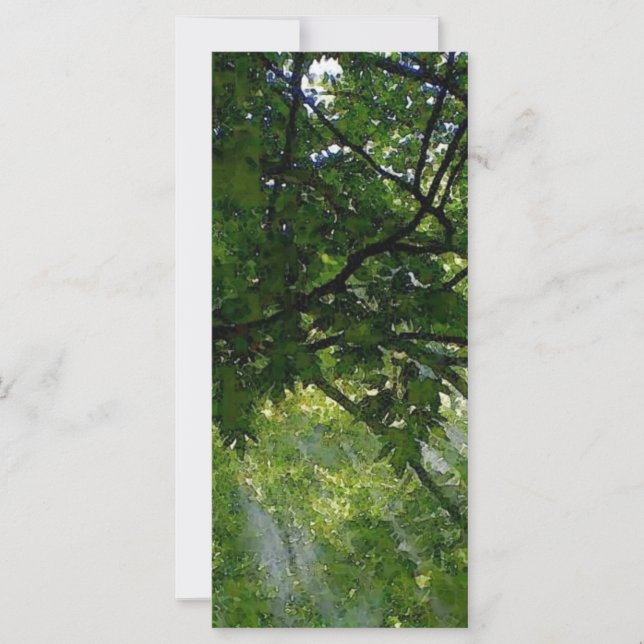 Carte Lumière Solaire À Travers Les Arbres (Devant)