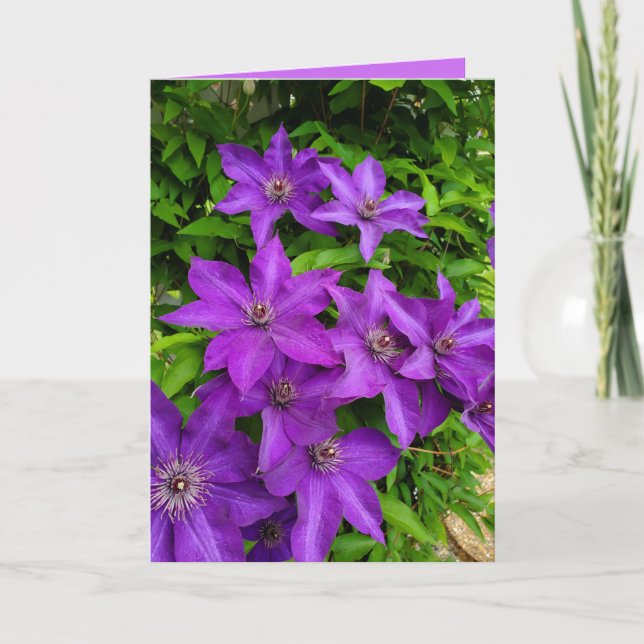 Carte Lupines violettes Flore Garder le contact vide (Devant)