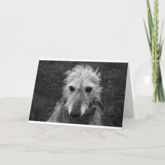 Carte Lurcher