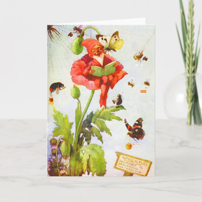 Carte Lutin coquelicot (Devant)