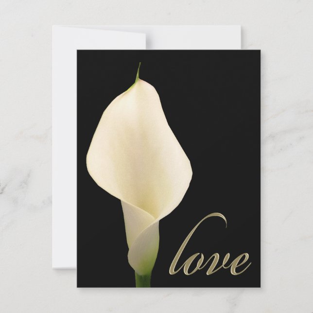 Carte Lys calla blanc simple (Devant)