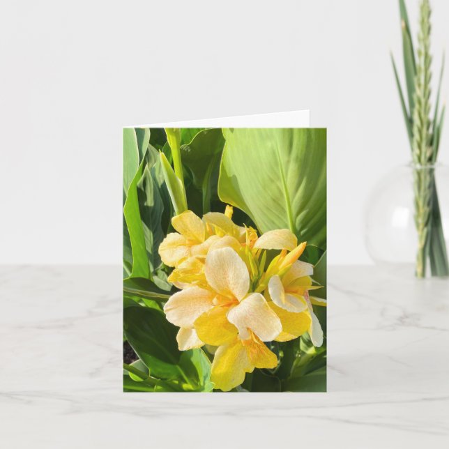 Carte Lys Canna Jaune Dans Un Jardin Photo (Devant)