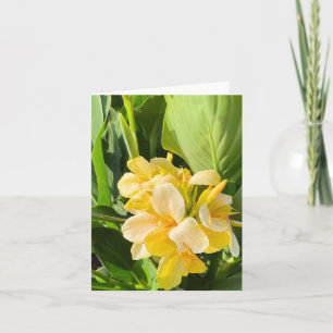 Carte Lys Canna Jaune Dans Un Jardin Photo
