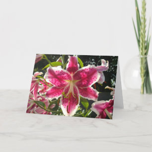 Carte Lys roses fleurs tropicales roses rose