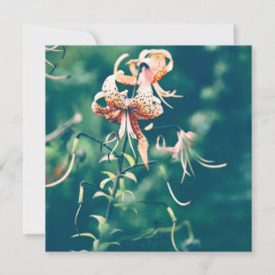 Carte Lys tigres fleurissant en automne