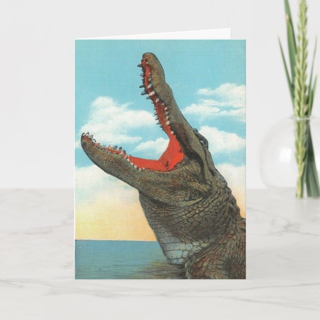 Carte M. Alligator (Devant)