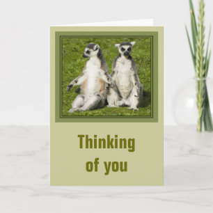 Carte M. et Mme Lemur Thinking de vous cardent