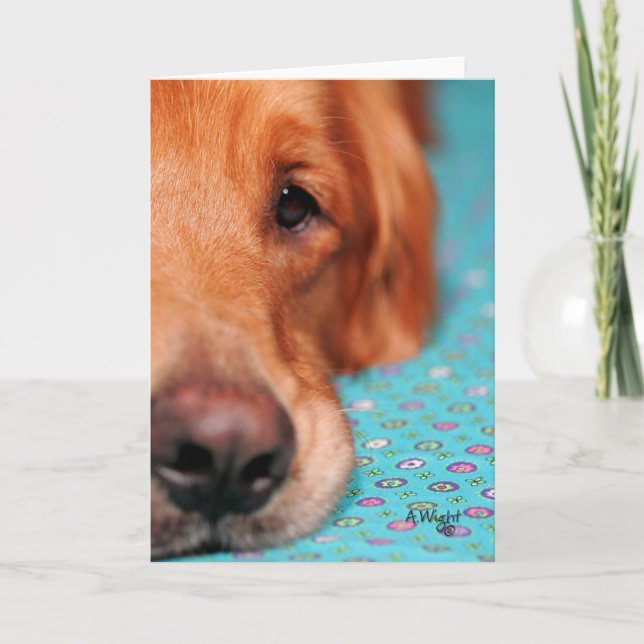 Carte M. Farley (Devant)