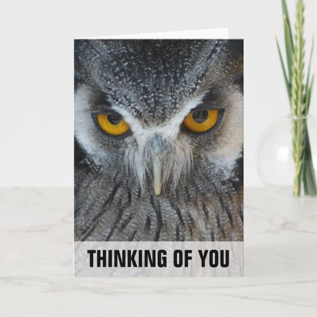 Carte Macro Black and White Owen Thinking Of You Card (Devant)