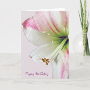 Carte macro d'anniversaire d'amaryllis