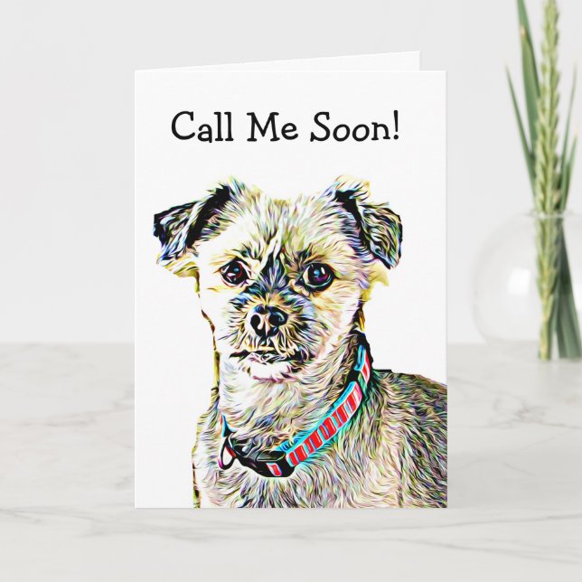 Carte Mademoiselle, drôle Shitzu Dog Card (Devant)
