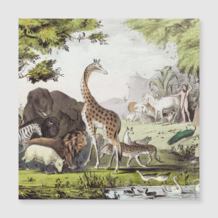 Carte Magnétique Adam nomme les créatures