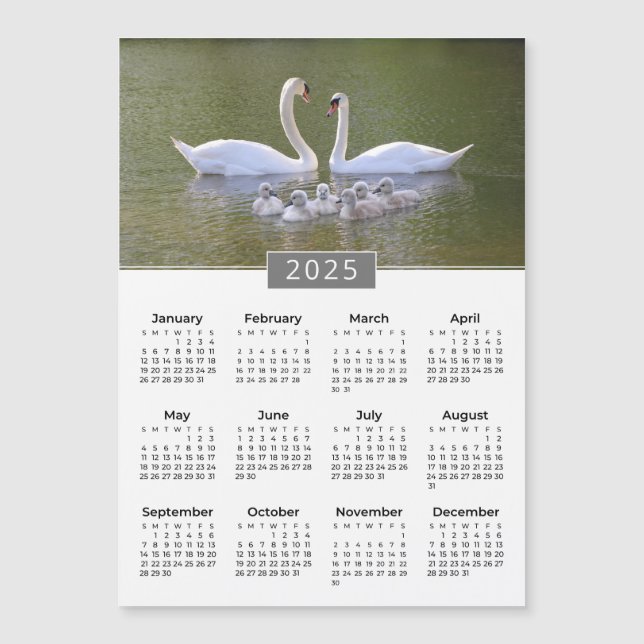 Carte Magnétique Aimant cygne et cygnets Calendrier 2025 (Devant)
