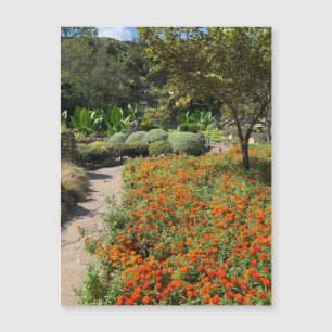 Carte Magnétique Aimant Fleurs du Jardin de Thé