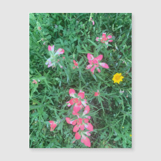 Carte Magnétique Aimant Fleurs mixtes