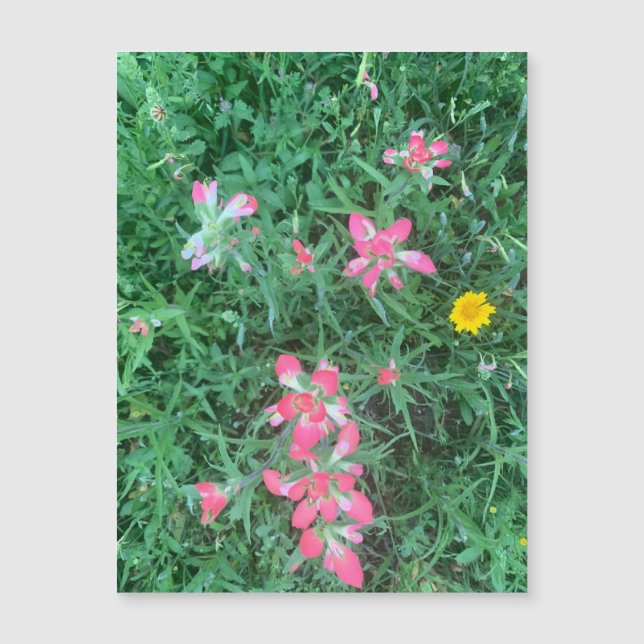 Carte Magnétique Aimant Fleurs mixtes (Devant)