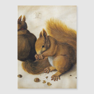 Carte Magnétique Albrecht Durer - Deux écureuils