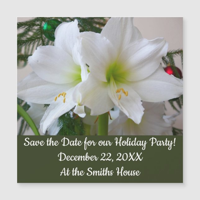 Carte Magnétique Amaryllis blanc et sapin de Noël (Devant)