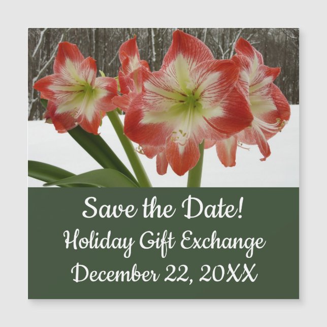 Carte Magnétique Amaryllis en Fête Rouge Neige Hiver Floral (Devant)