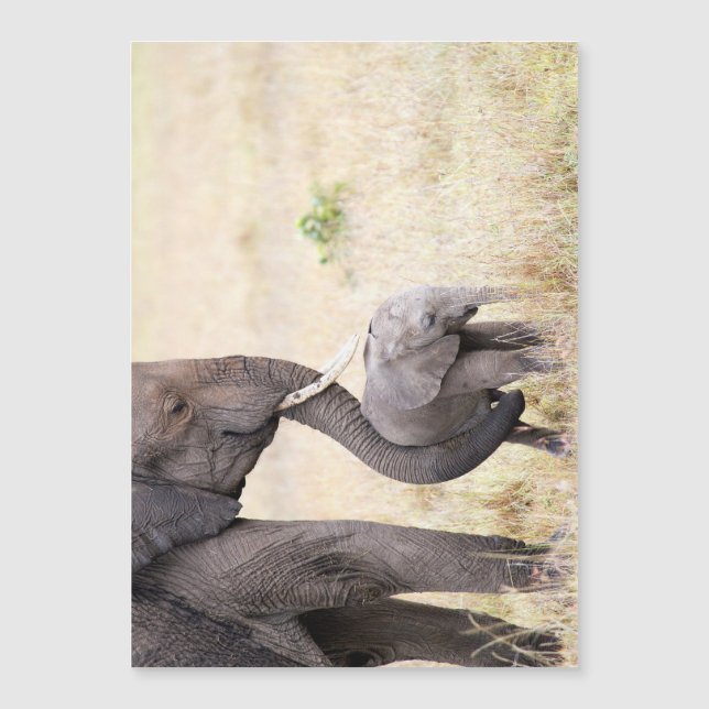 Carte Magnétique Amour maternel (Devant)