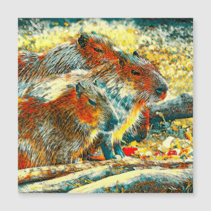 Carte Magnétique AnimalArt_Capybara_005