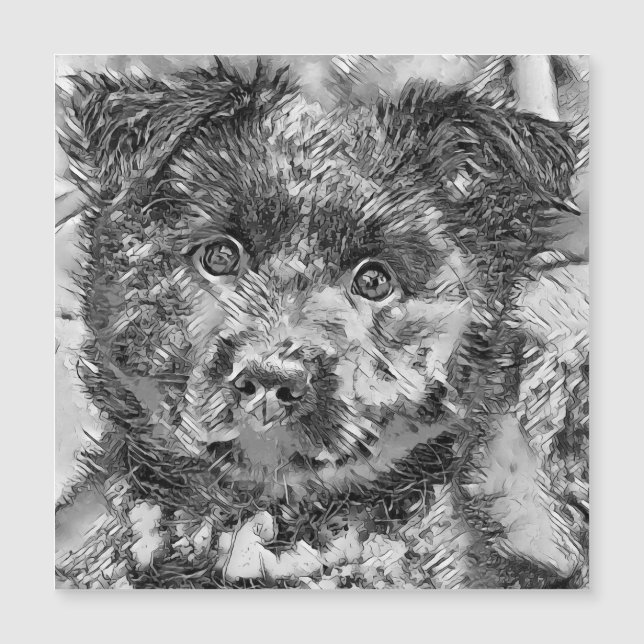 Carte Magnétique AnimalArtBW_Dog_005 (Devant)