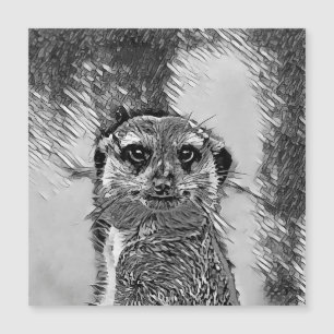 Carte Magnétique AnimalArtBW_Meerkat_002