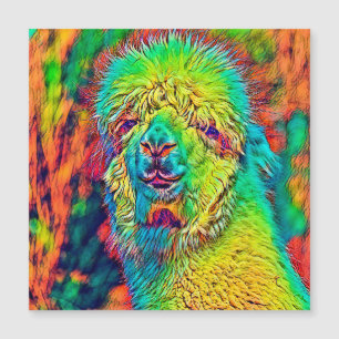 Carte Magnétique AnimalColor_Alpaca_005