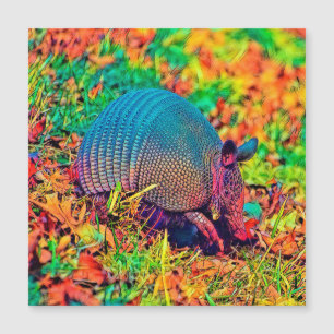 Carte Magnétique AnimalColor_Armadillo_001