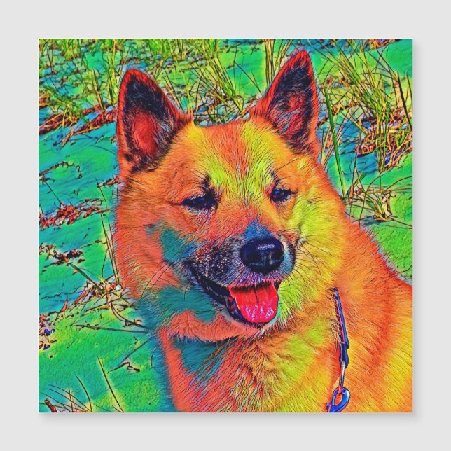 Carte Magnétique AnimalColor_Chien_014 (Devant)