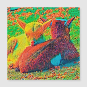 Carte Magnétique AnimalColor_Goat_001