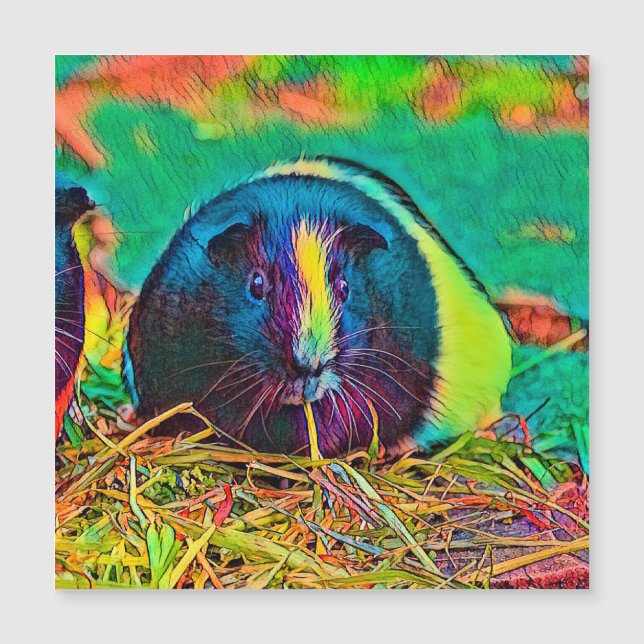 Carte Magnétique AnimalColor_Guineapig_002 (Devant)