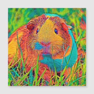 Carte Magnétique AnimalColor_Guineapig_017