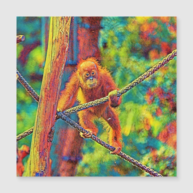 Carte Magnétique AnimalColor_OrangUtan_014 (Devant)