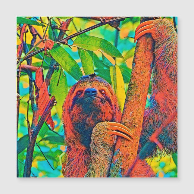 Carte Magnétique AnimalColor_Sloth_003 (Devant)