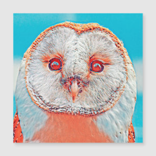 Carte Magnétique AnimalMix_Bird_023