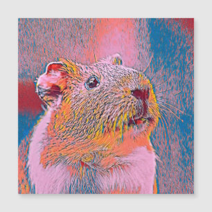 Carte Magnétique AnimalMix_Guineapig_001