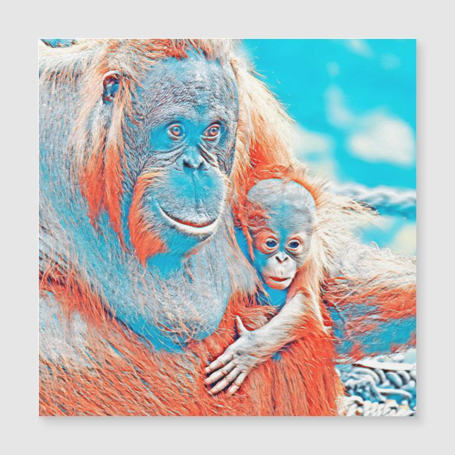 Carte Magnétique AnimalMix_OrangUtan_011 (Devant)