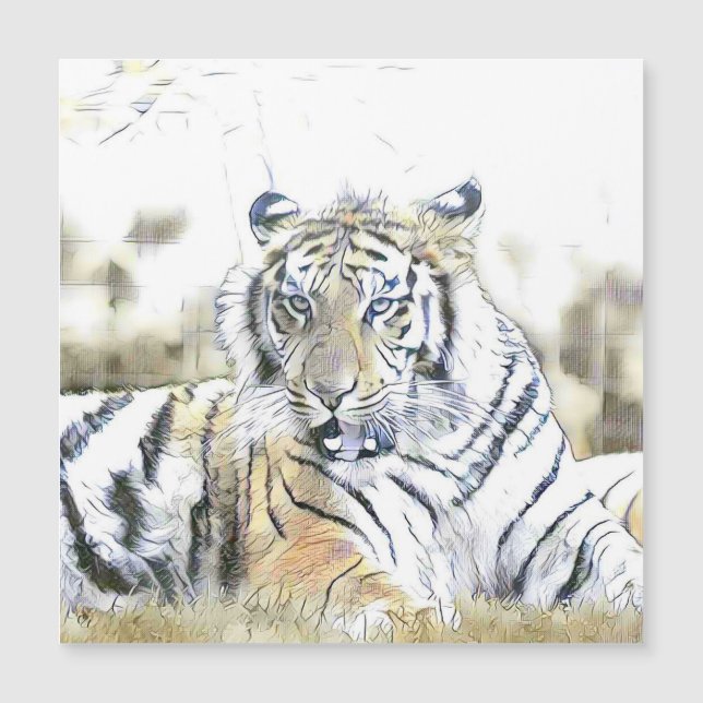Carte Magnétique animaux fascinants - Tigre (Devant)