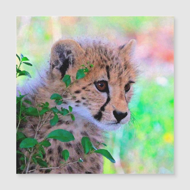 Carte Magnétique Aqua_Cheetah_20180102 (Devant)