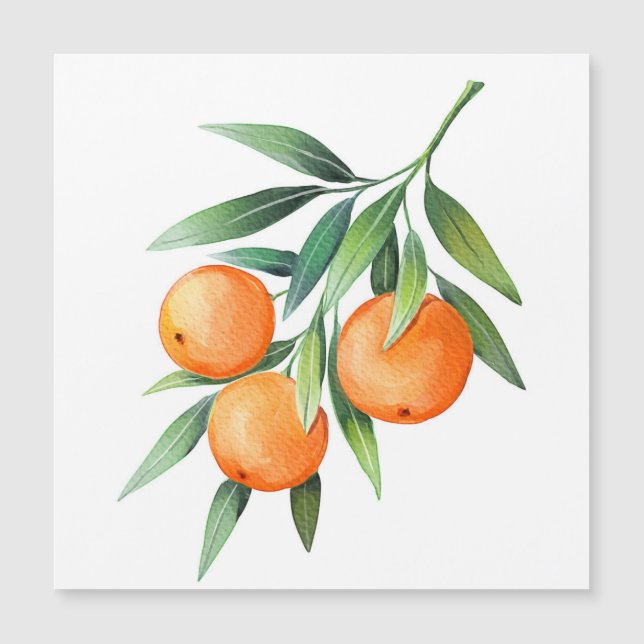 Carte Magnétique Aquarelle Orange Fruits : Branches Isolées. (Devant)