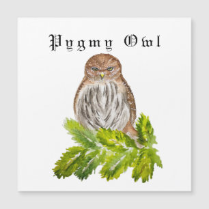 Carte Magnétique Aquarelle Saw Whet Cute Little Owls