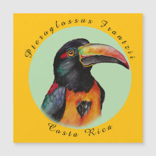 Carte Magnétique Aquarelle toucan