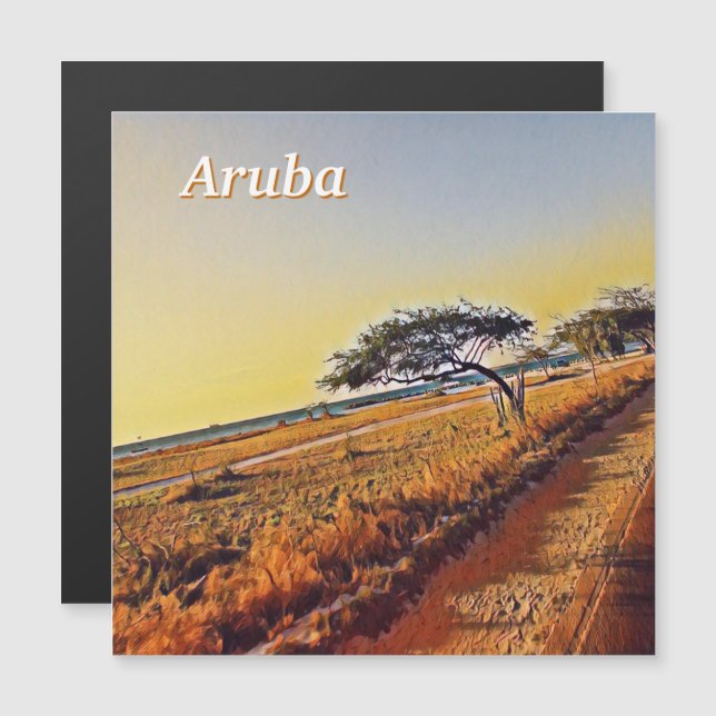 Carte Magnétique Aruba Divi Divi Trees (Devant / Derrière)
