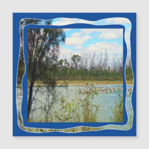 Carte Magnétique Australie Pelican Flock River Murray,
