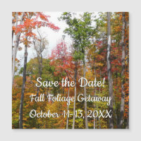 Automne dans la forêt Colorée Photographie d'autom