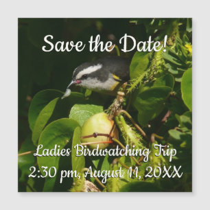 Carte Magnétique Bananaquit Bird Mange Photographie tropicale